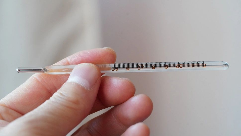 Ce se întâmplă, de fapt, dacă atingem "argintul viu"?