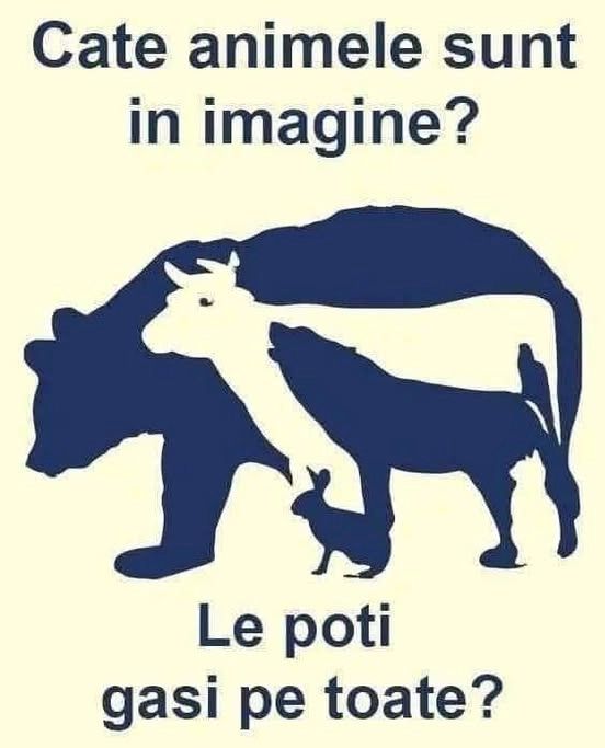 Testul suprem de perspicacitate. Tu câte animele vezi în imagine?