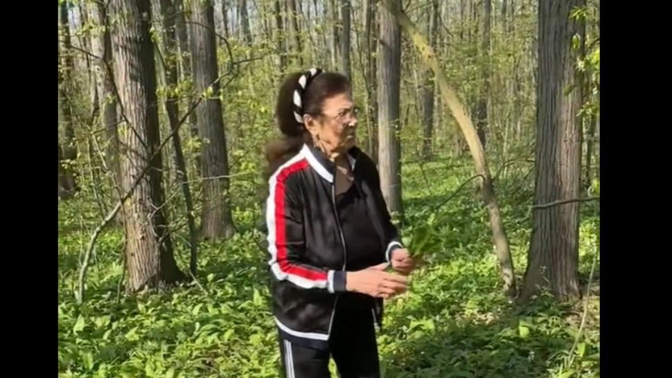 Maria CIOBANU a ieșit la cules. Îndrăgita artistă s-a dus în pădurea Băneasa să caute o plantă cu efecte benefice - VIDEO