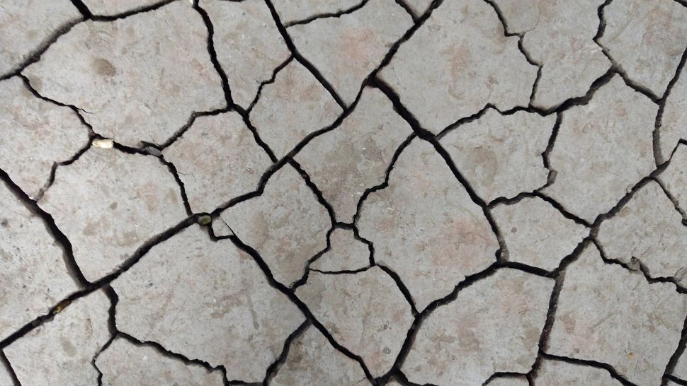 Cutremur de 5,0 grade pe scara Richter! Mișcarea tectonică s-a resimțit și în zone îndepărtate