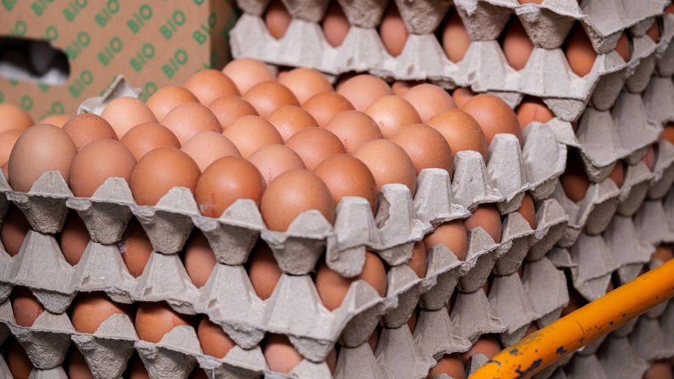 Cum îți dai seama dacă ouăle sunt sau nu bune de consum