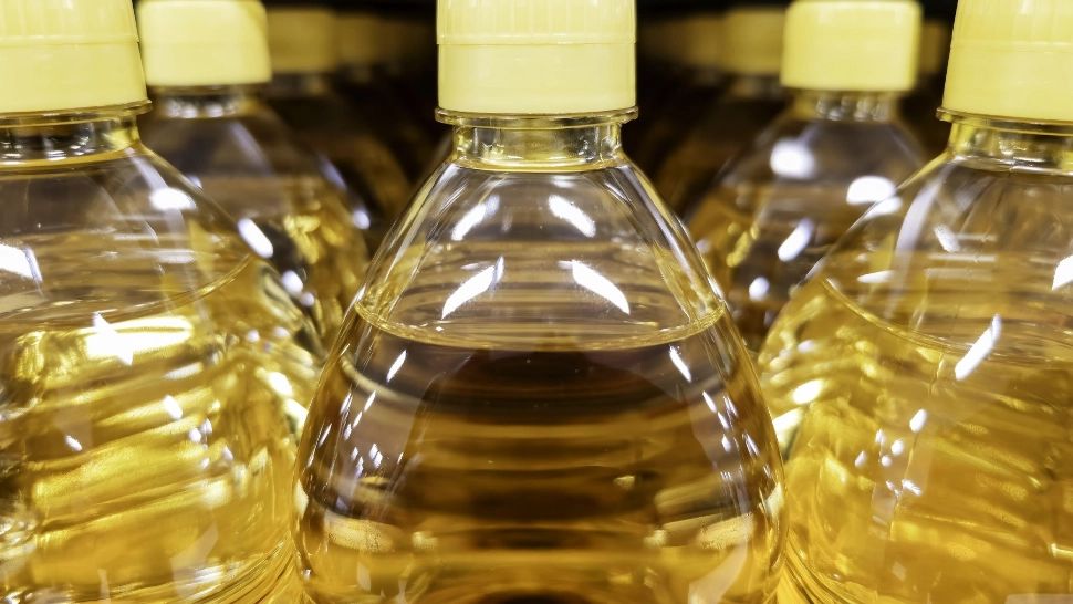 Poți refolosi uleiul de floarea-soarelui din tigaie? Care este răspunsul la întrebarea pe care multe gospodine și-o pun/ Profimedia