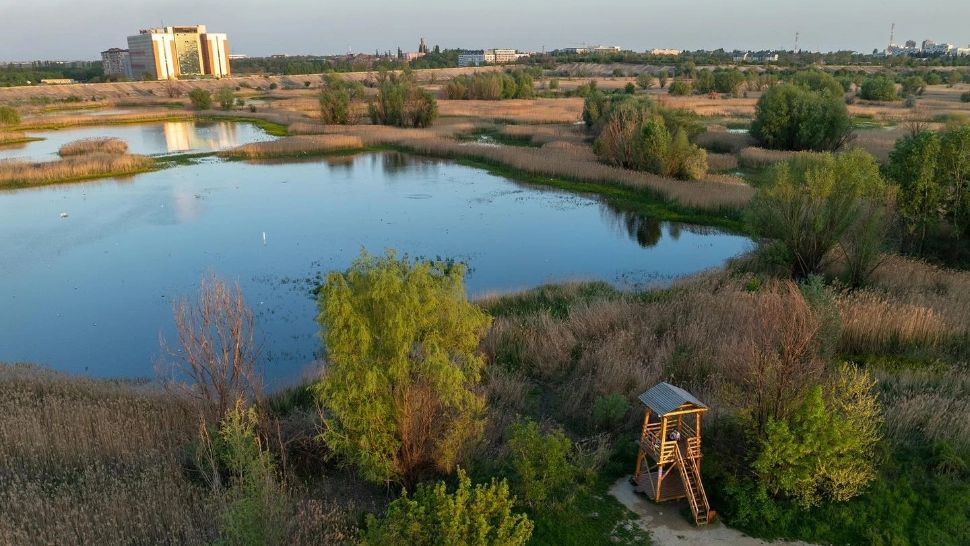 Răgaz de liniște și spectacol natural în Parcul Natural Văcărești - FOTO