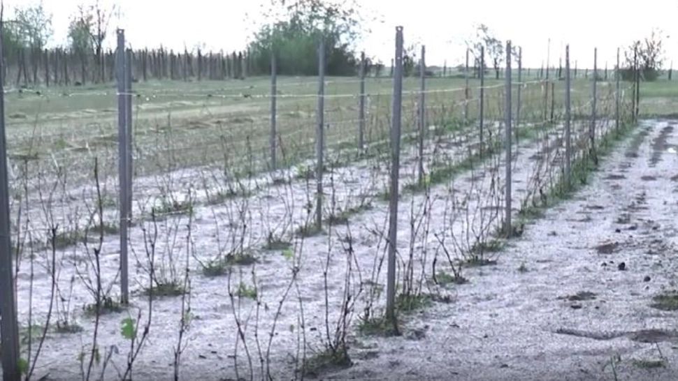 Pagube în localitățile lovite de furtunile cu grindină. Gospodării și terenuri agricole distruse