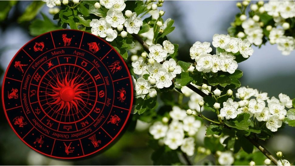 Cine sunt zodiile care scapă de ghinion în luna martie.