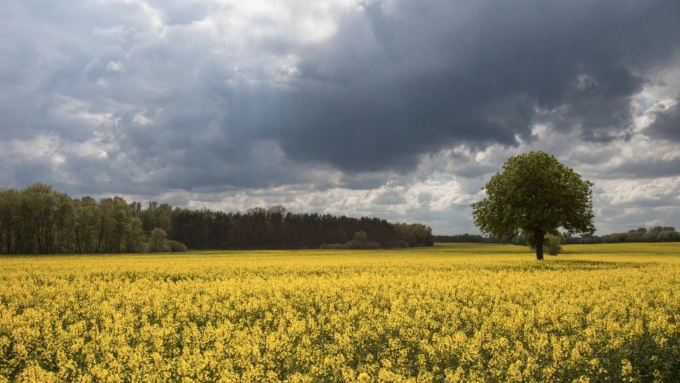 Vreme capricioasă la început de mai: temperaturile vor crește semnificativ la finalul lunii/ Profimedia