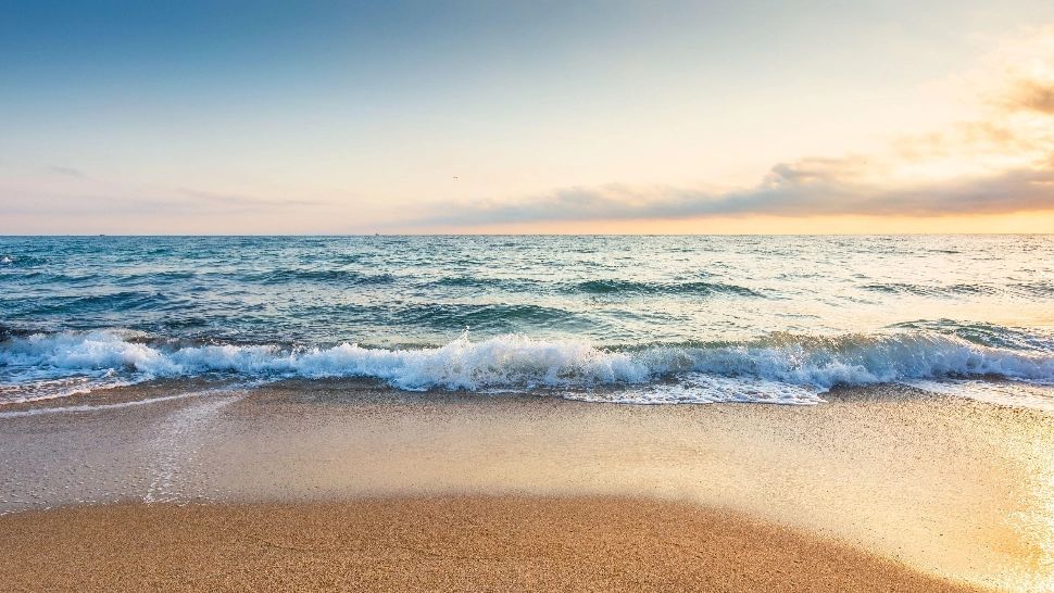 Nou val de turiști pe litoral, în minivacanța de Rusalii. Cât plătesc românii pe cazare și care sunt cele mai căutate stațiuni/Profimedia