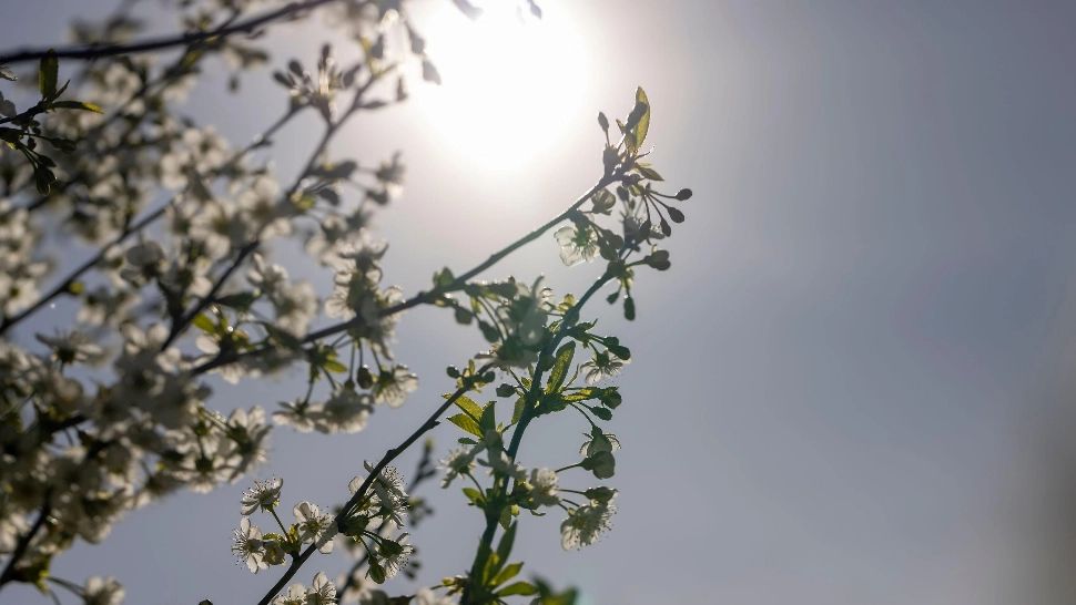 Vremea 14 mai. Temperaturi scăzute și astăzi. La cât ajung maximele zilei / Profimedia