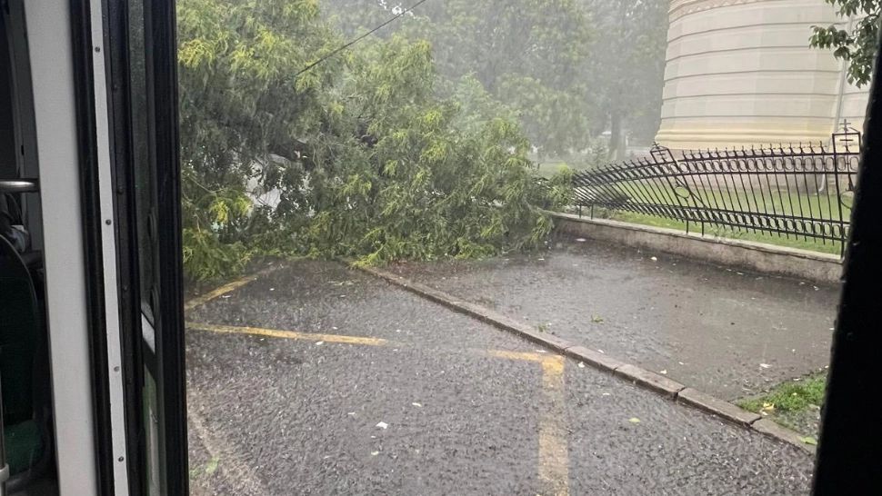  Vremea rea a făcut prăpăd în București. Pomi căzuți pe tramvaiul 32 - GALERIE FOTO