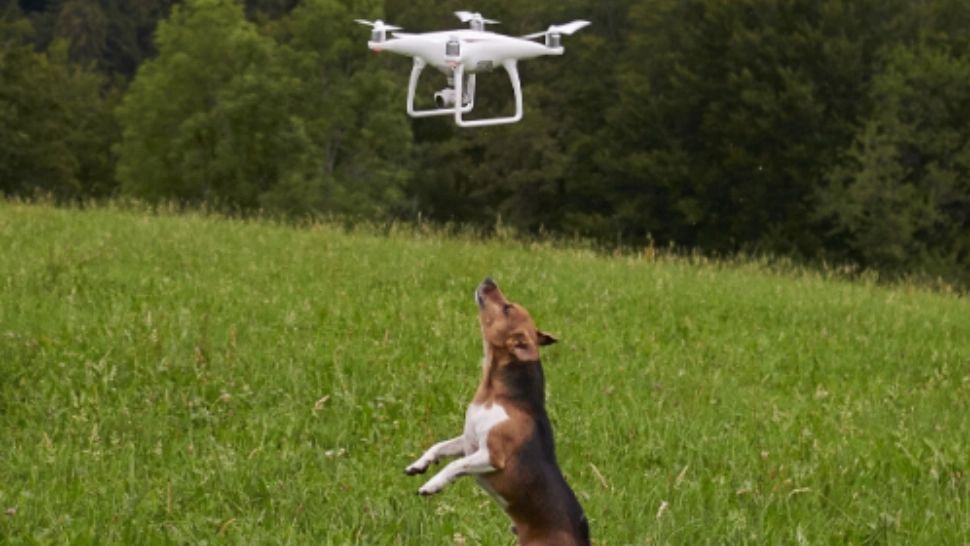 Cum a ajuns un sat să fie asaltat de drone