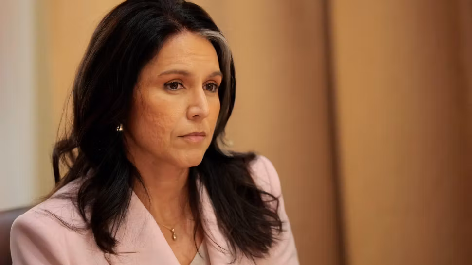 Tulsie Gabbard. Foto: Profimedia