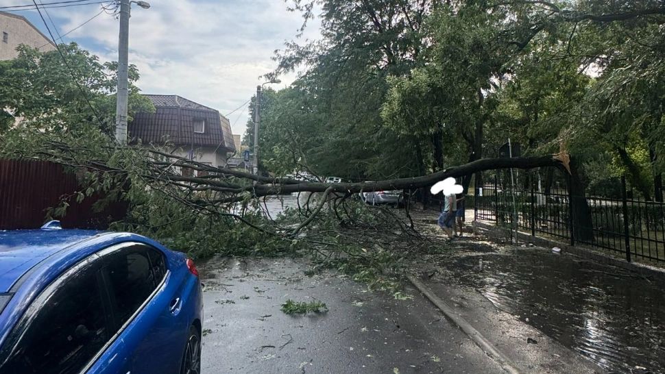 București, sub asediul furtunii: copaci doborâți pe mașini, carosabil și conducte de gaze. Autoritățile lansează apeluri la prudență - FOTO / VIDEO