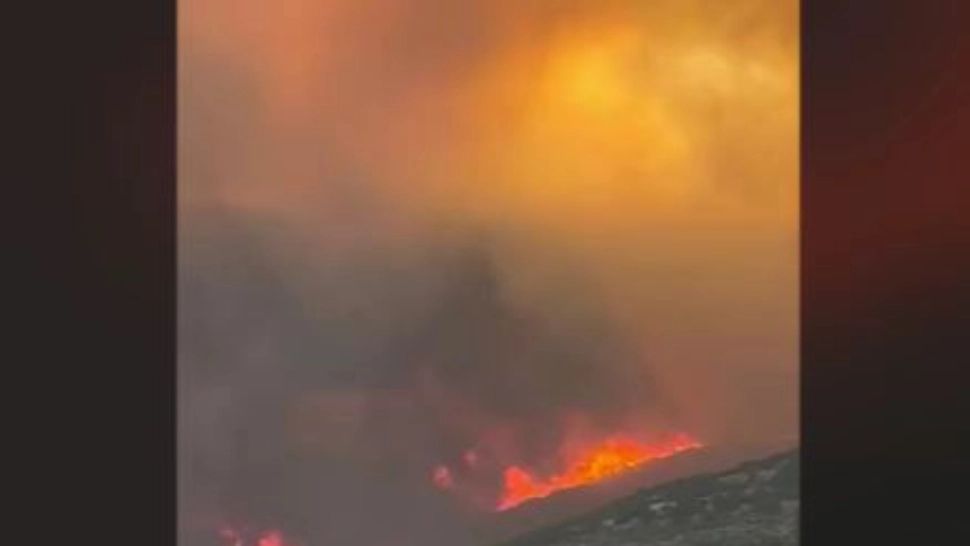 Temperaturile extreme fac ravagii în Europa. Incendii devastatoare