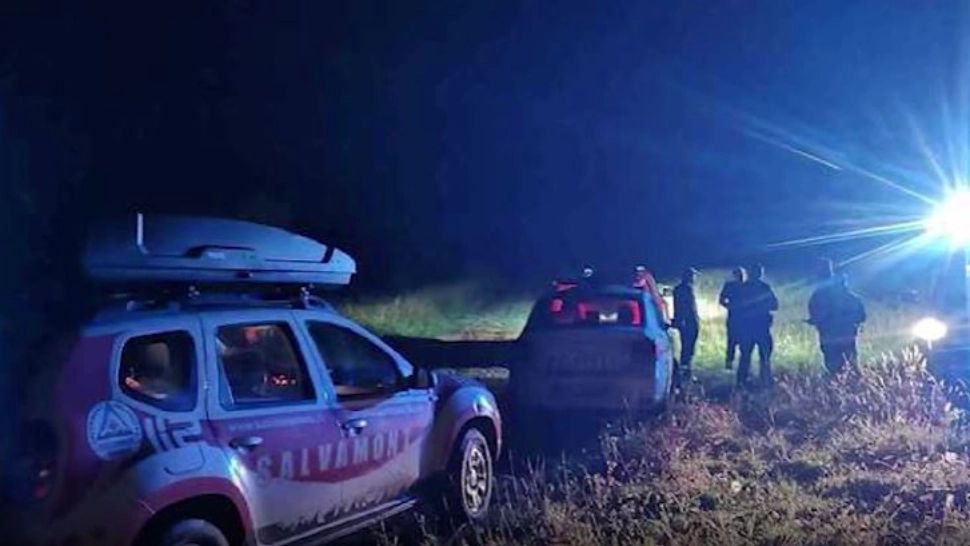 Atacuri în lanț ale urșilor. Trei oameni au fost desfigurați