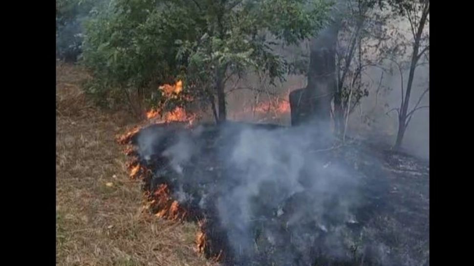 Alertă pe litoral! Arde ca o torță: incendiu de vegetație între Eforie Nord și Eforie Sud - VIDEO