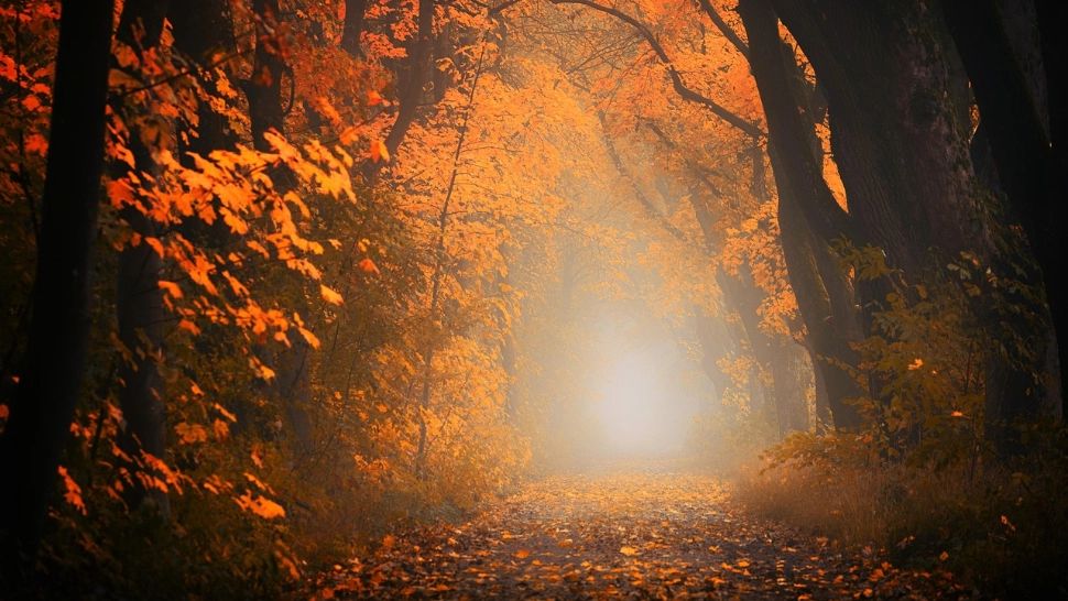Prognoza meteo pe o lună. Cum va fi vremea, în fiecare regiune a țării, până pe 28 septembrie