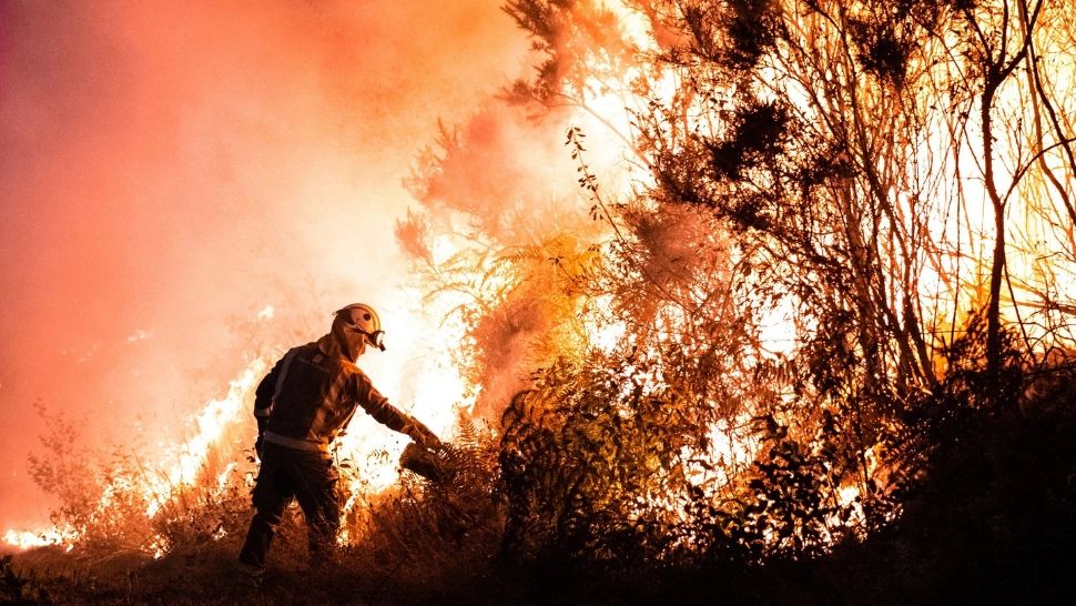 Român mort în incendiile de vegetație violente din apropierea Madridului / Profimedia