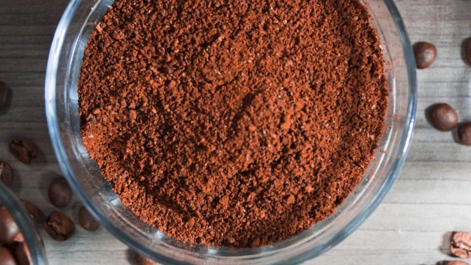Când poți folosi zațul de cafea în grădină și când este contraindicat