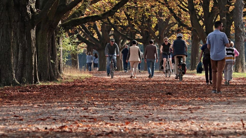 Vești proaste pentru bucureșteni: amenzile pentru distrugerea spațiilor verzi ar putea crește de până la 50 de ori