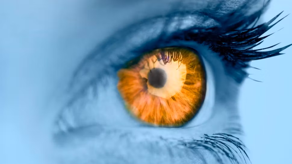 De ce avem ochi diferiți ca nuanță? Cauze medicale și moștenirea genetică/ Profimedia