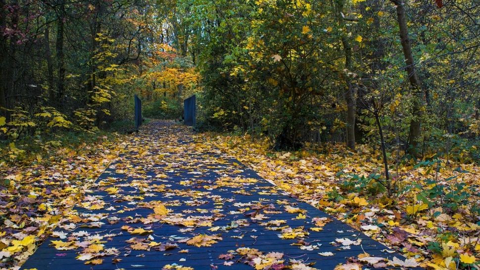 Răcire severă a vremii, începând de luni: un val de AER POLAR aduce temperaturi scăzute în toată țara. La ce maxime să ne așteptăm