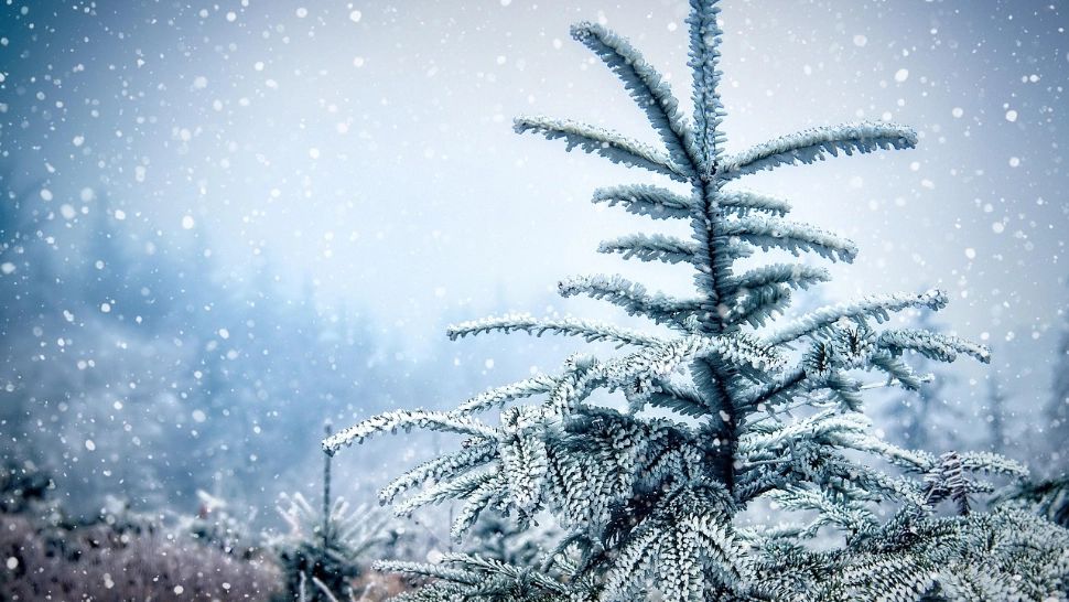 Prima ninsoare în România vine la final de decembrie