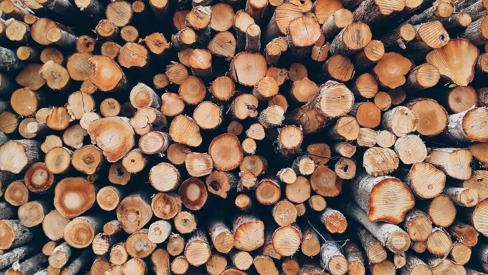 Lemnele de foc, din ce în ce mai SCUMPE. 700 de lei pe metrul cub