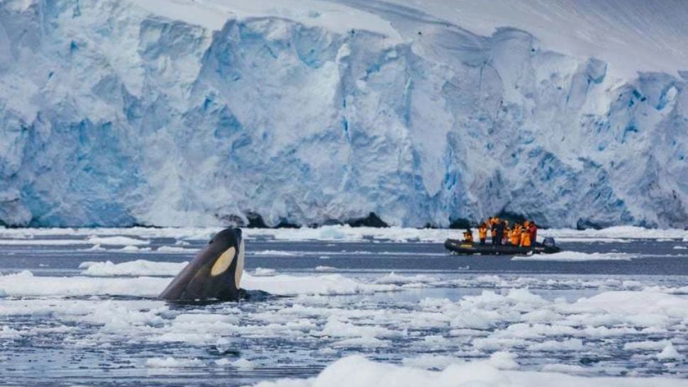 O agenție românească „sparge gheața”: prima croazieră de lux în Antarctica, la bordul unui spărgător de gheață