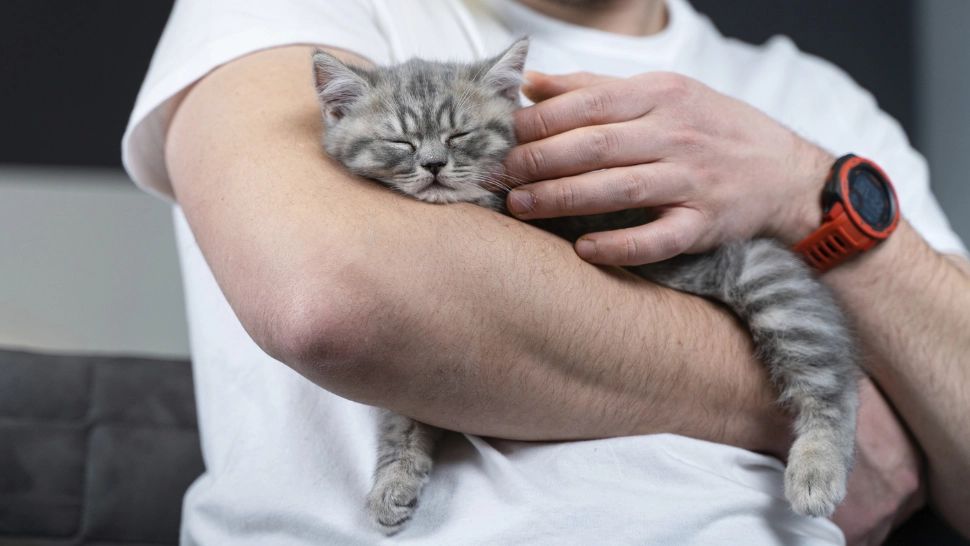 Pisicile și somnul: de ce le place să doarmă cât mai aproape de stăpânii lor. Explicația la care nu te-ai fi gândit  /Profimedia 