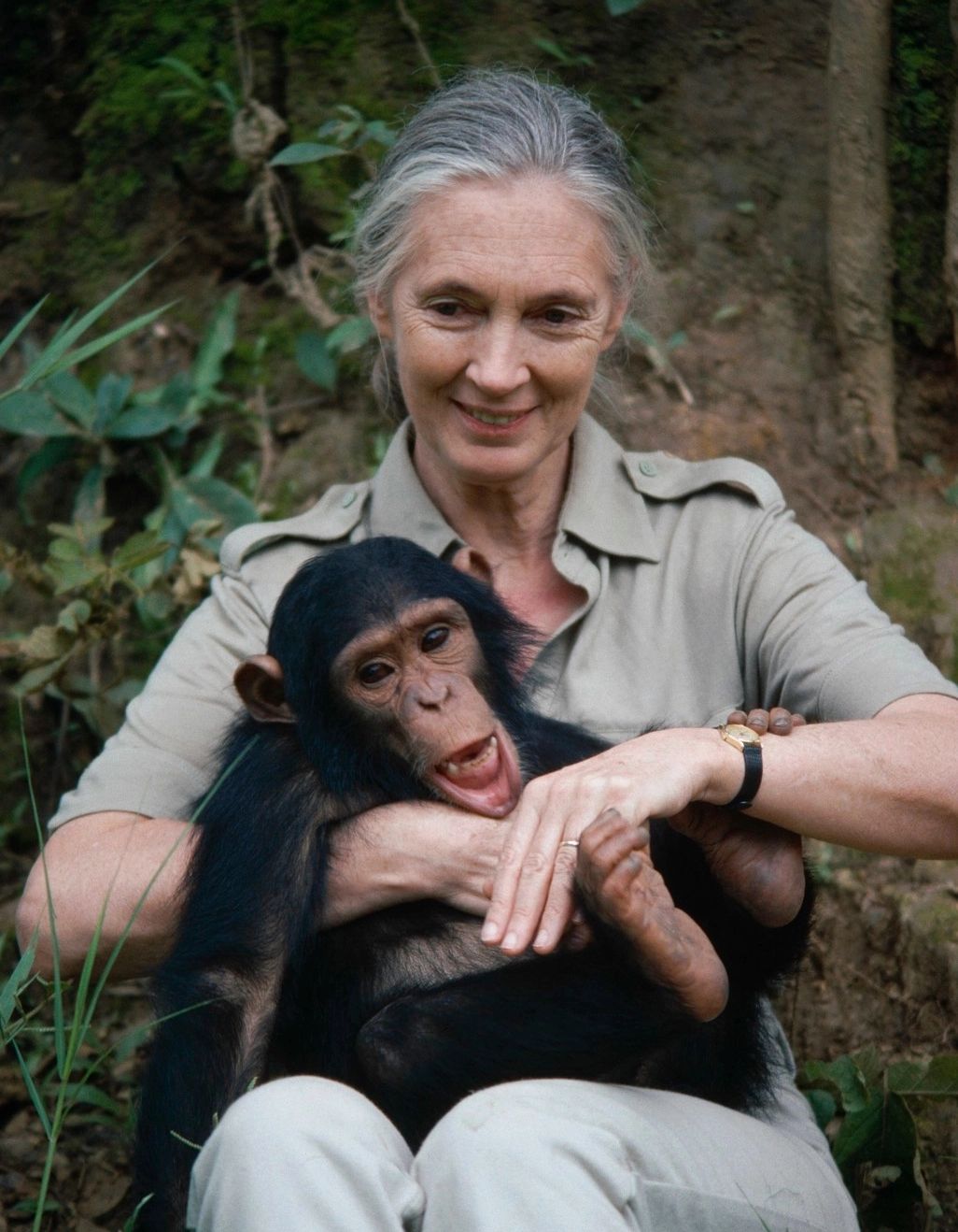 Doliu uriaș în lumea științei: Jane Goodall, legenda care a dedicat viața protejării mediului, s-a stins din viață la 91 de ani/ Profimedia