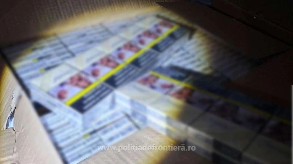 Captură uriașă la graniță: peste 11 milioane de țigări de contrabandă descoperite în Dolj, în două camioane venite din Grecia