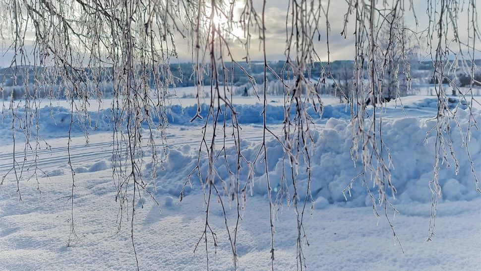 Cât de grea va fi iarna 2025-2026? Fenomenul La Niña revine, iar vortexul polar ar putea aduce frig intens