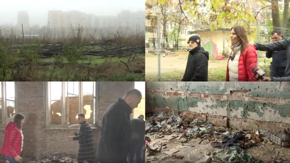 Anca Alexandrescu a descins în Parcul IOR