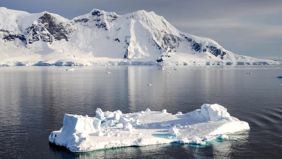 Locuri de muncă în Antarctica. Află de ce trebuie să-ți scoți molarii de minte și apendicele înainte să pleci pe continentul înghețat