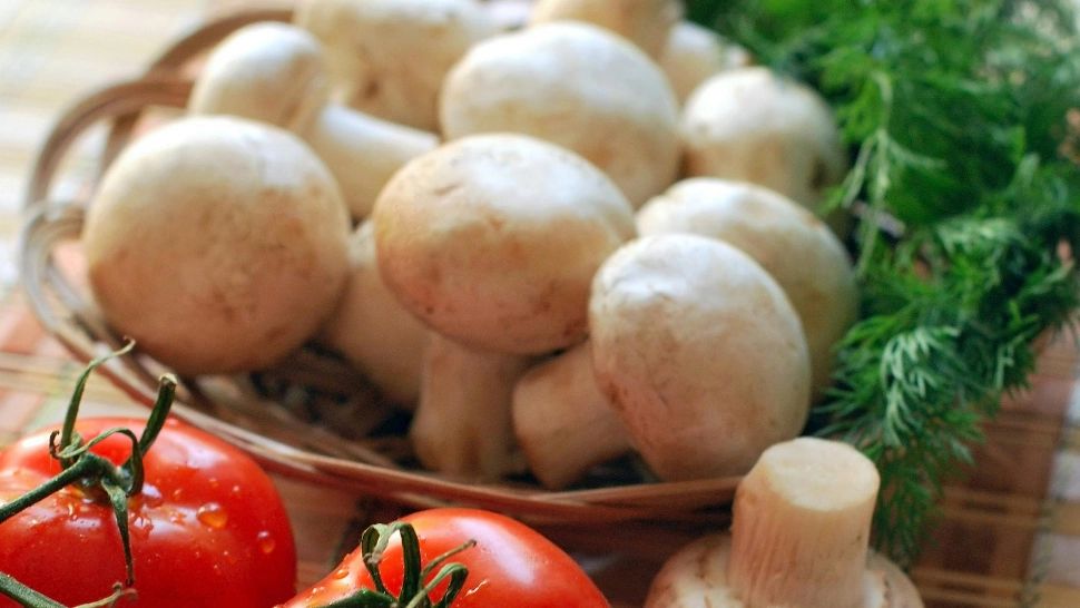 Mâncare de post. 5 rețete culinare pe care trebuie să le introduci în meniul tău în Postul Crăciunului