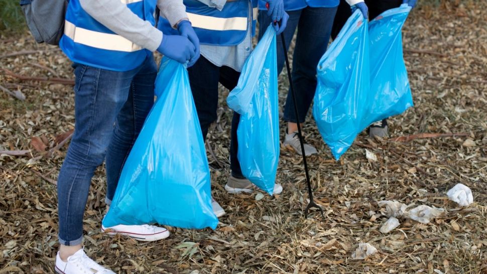 PHG Waste Management dă asigurări că poate interveni în Sectorul 1 pentru a preveni o „criză a gunoaielor”, după anunțul privind reducerea salubrizării