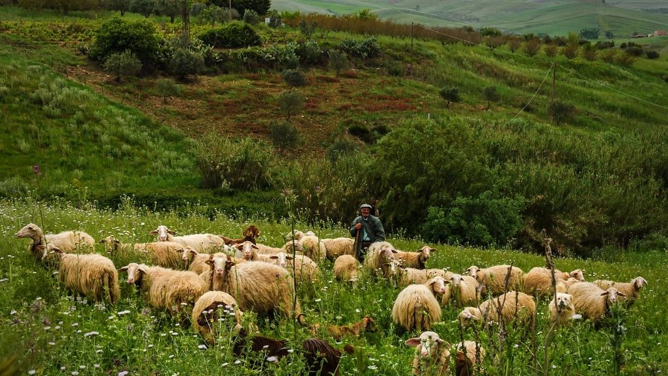 Fermierii în pragul disperării după valul de scumpiri. Cea mai dificilă perioadă din ultimii ani