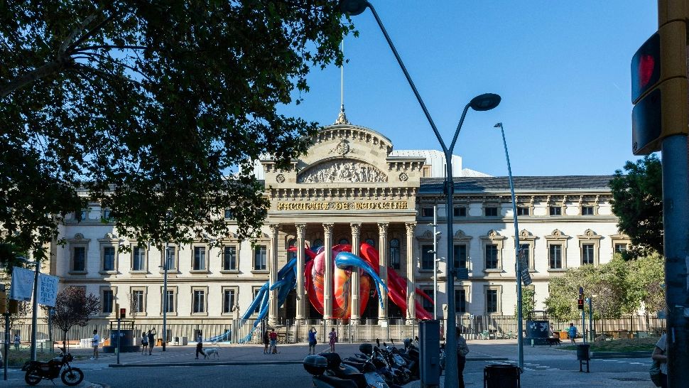 Unde aleg să mergă tinerii români la studii. Cea mai căutată țară din Europa