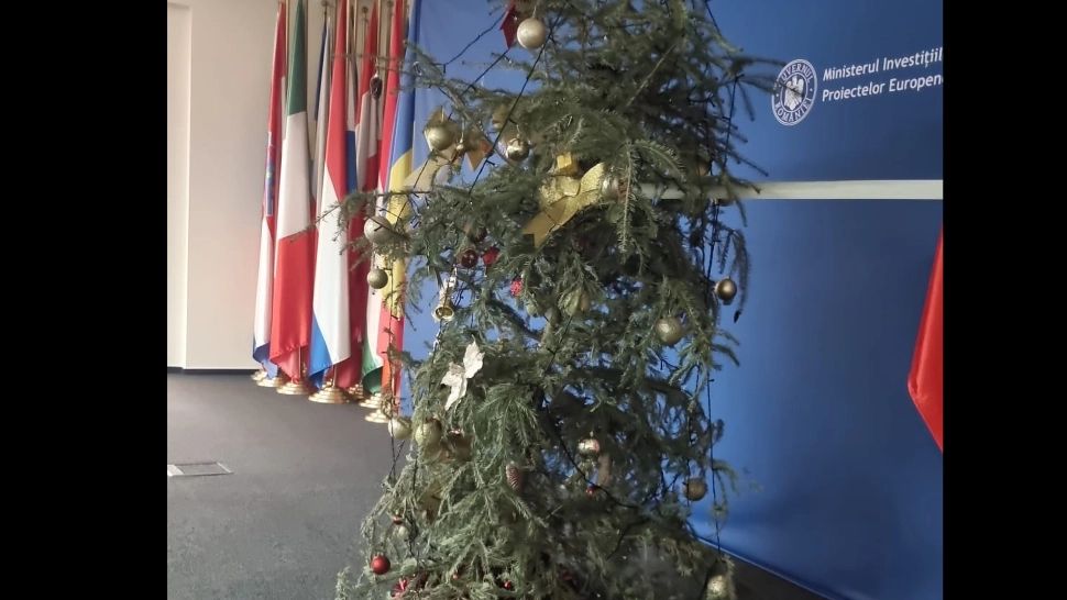 Bradul progresiștilor e ponosit și stă să cadă