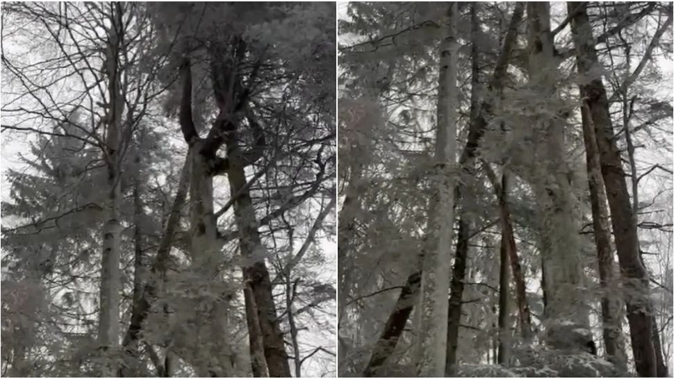 Pericol uriaș pe traseele montane. FOTO: Captura Facebook