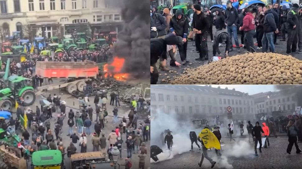 Foto/Arhivă/Profimedia