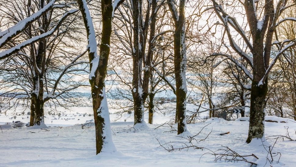 Variații mari de temperatură în decembrie: răcire accentuată după data de 18. Cum va fi vremea de Crăciun, pe regiuni/ Profimedia