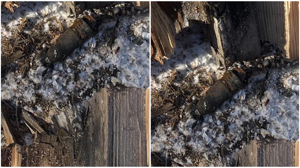 Panică într-o gospodărie din județul Neamț