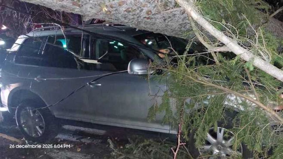 Furtuna a făcut ravagii pe Valea Prahovei: copaci smulși de vânt la Sinaia și un autoturism avariat