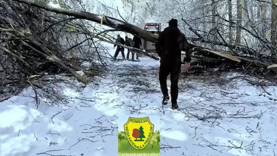 Intervenție în condiții extreme în Caraș-Severin: drumuri blocate de copaci și zăpadă / Captură video