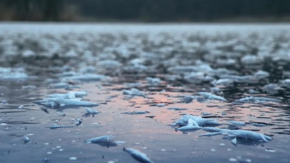 Un bărbat a căzut sub gheața râului Mureș