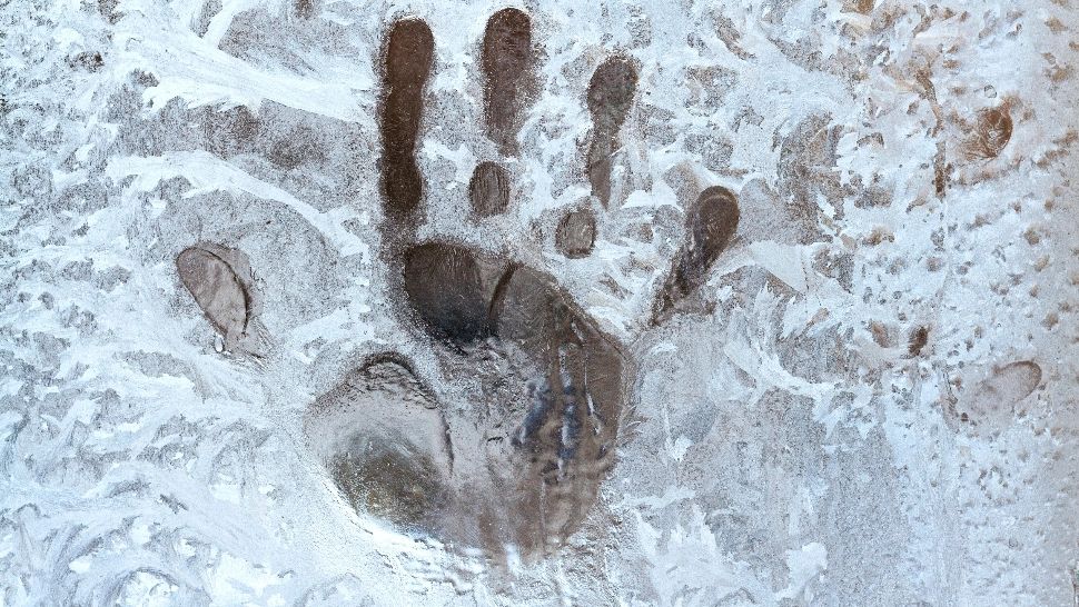 Nu scăpăm de ger: cod galben în vigoare până miercuri! Meteorologii au extins HARTA /Profimedia