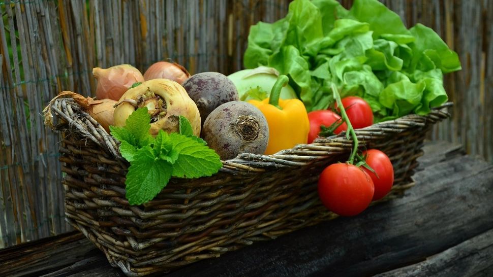 Importuri de 2 miliarde de euro la produse pe care le găsim și în țară. Bani grei pe fructe și legume din import