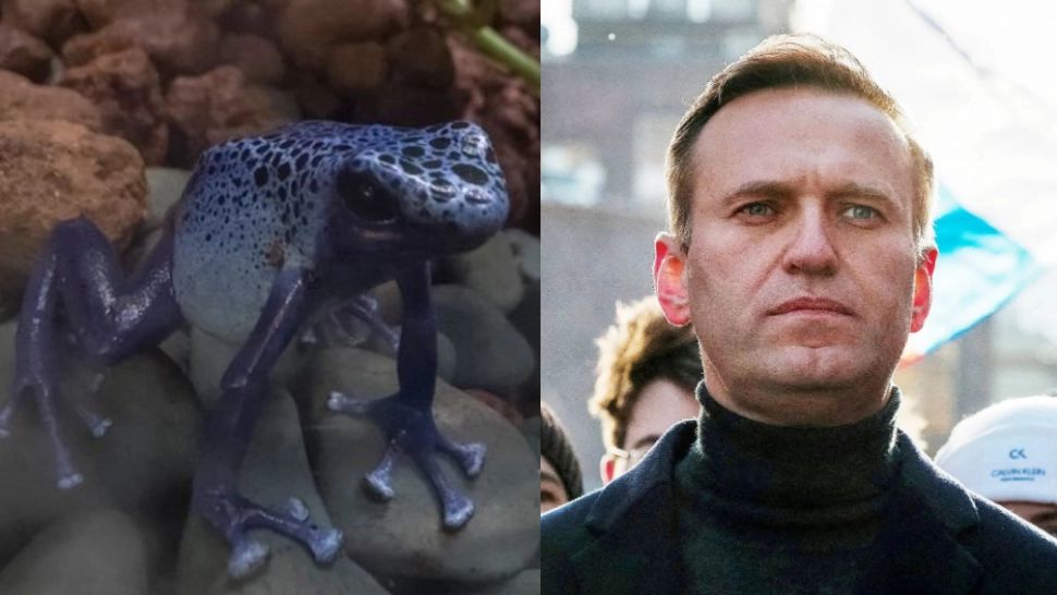 Kremlinul respinge acuzațiile că Aleksei Navalnîi ar fi fost otrăvit cu o toxină rară