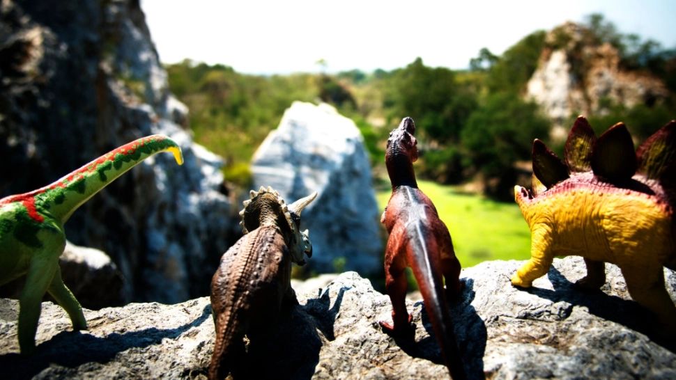 Cum arăta primul animal de pe Terra